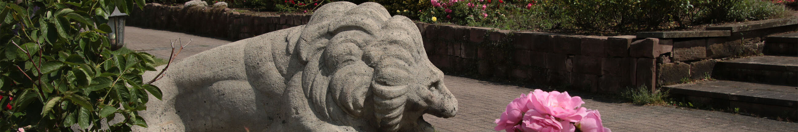 lebb_rosen_umm_2600x520